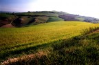 ...Verdi colline... ...Verdi colline...
