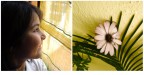 Giochiamo alle foto! Giochiamo alle foto!