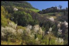 Vita nuova sulle colline Vita nuova sulle colline