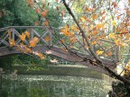 autunno alle spalle autunno alle spalle