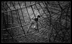 Geometric Climber Geometric Climber