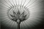 sole d'oriente sole d'oriente
