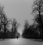 Passeggio nel parco...