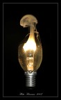 light bulb light bulb