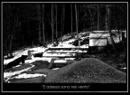 E adesso sono nel vento E adesso sono nel vento