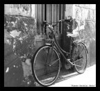ciclo ciclo