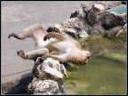 Relax... Relax...