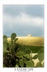 sicilia sicilia