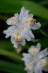 Macro#1 Macro#1