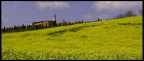 arrivo a Pienza arrivo a Pienza