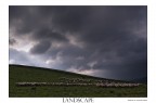 paesaggio e gregge (esperimento sottoesposizione) paesaggio e gregge (esperimento sottoesposizione)