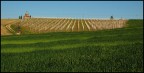 colline piacentine colline piacentine