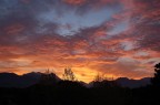 Alba Alba