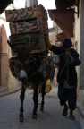 Hard Work...in Fes Hard Work...in Fes