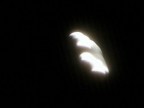 psichedelia lunare psichedelia lunare