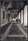 fughe architettoniche fughe architettoniche