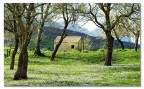 Alpe Cucco Palermo Alpe Cucco Palermo
