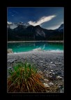 Wild Spring Wild Spring