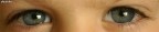 eyes eyes