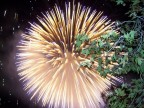 Fuochi d'artificio a Benestare