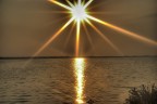 Sole Sole