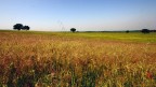 Classico Paesaggio Classico Paesaggio