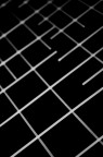 lines lines