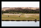 landscape landscape