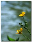 Giallo sul fiume Nera