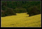 FIUME GIALLO