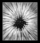 Explosion Explosion