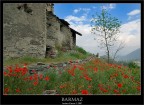 Barmaz Barmaz