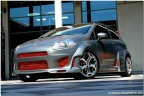 fiat punto isotta