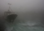 nella nebbia nella nebbia