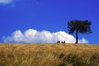 Tra cielo e terra Tra cielo e terra
