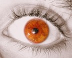 My Eye My Eye