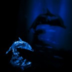 cristallo di mare cristallo di mare