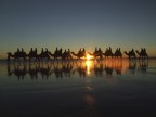 Come l'altra anche questa � una foto presa durante lo stesso tramonto!
Like the otehr one even this photo was shot during the same sunset in BROOME Western Australia