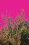colore e vita colore e vita