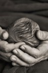 la forza della vita la forza della vita