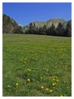 Voglia di montagna Voglia di montagna