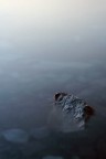 Alone and Sinking Alone and Sinking