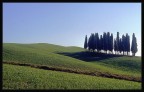 Colline Senesi