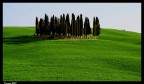 isoletta, molto famosa, di cipressi isoletta, molto famosa, di cipressi