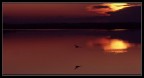 Volo al tramonto Volo al tramonto