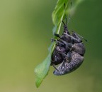 anche noi lo facciamo!!