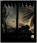 window window