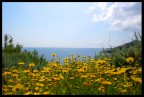 Scorgere il mare Scorgere il mare