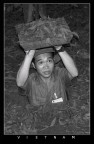 viet-cong... viet-cong...