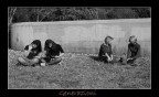 Villa Borghese - Pasquetta 2007